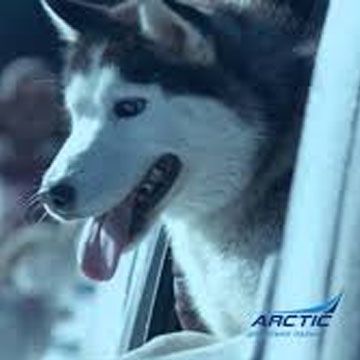 Aerial video for Arctic